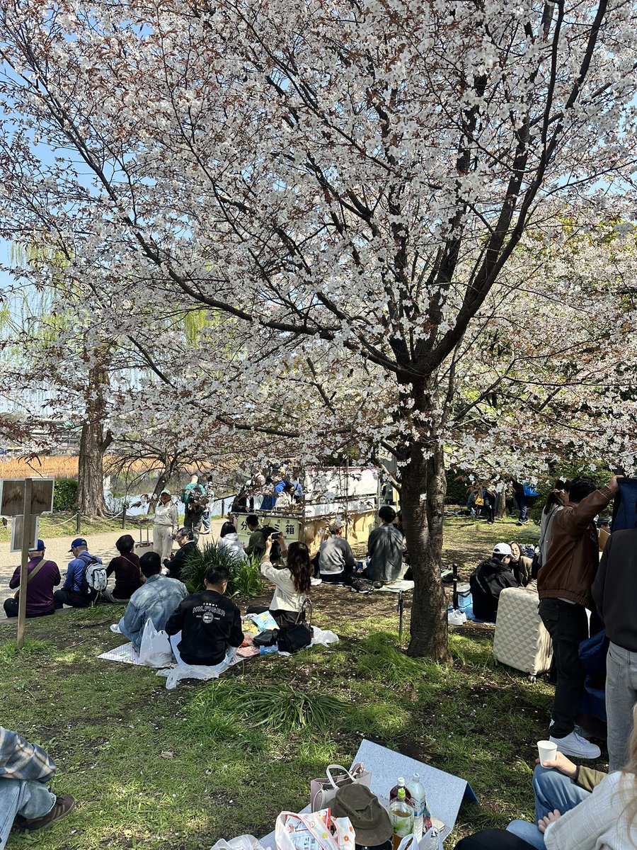 BEERBEAR tweet media