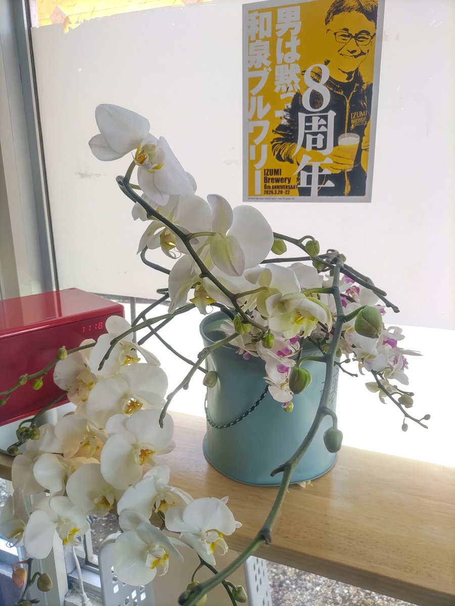 BEER CELLAR TOKYO tweet media