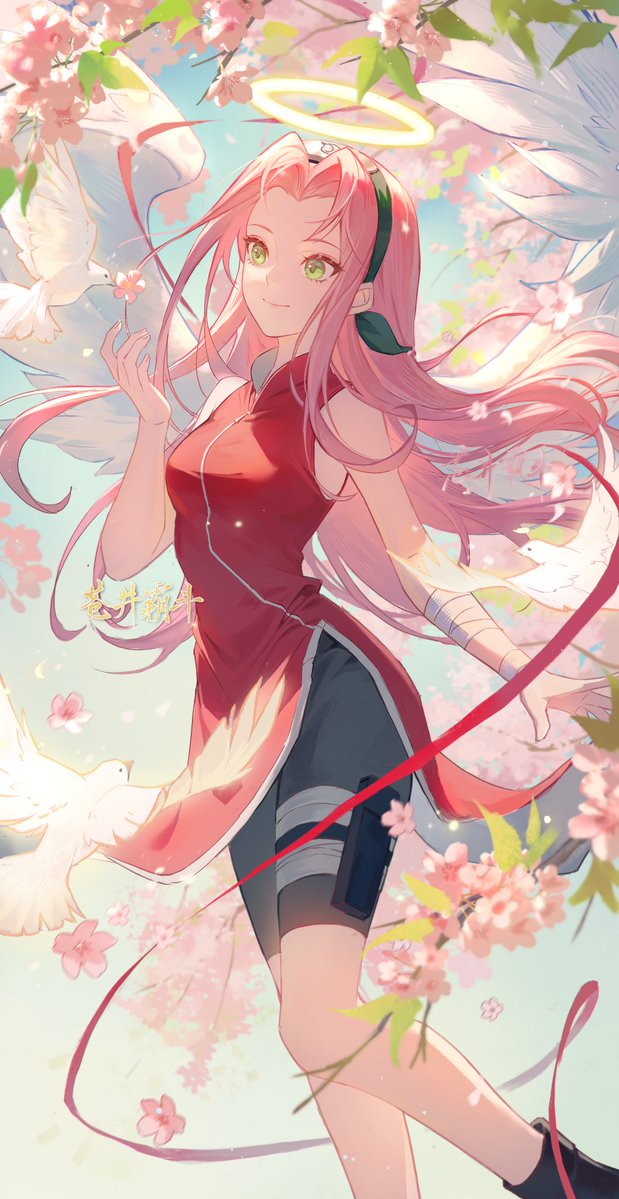 苍井霸斗 tweet media