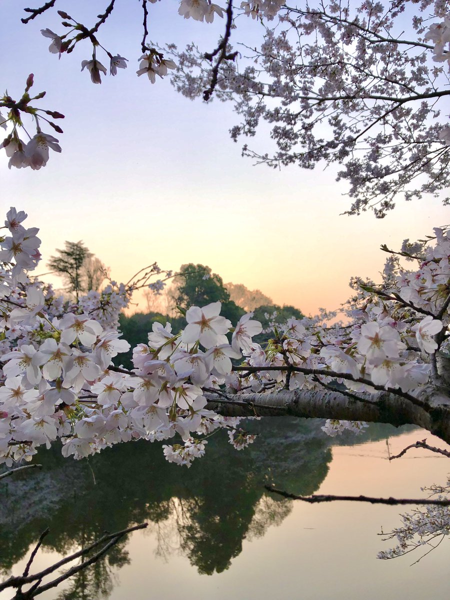 はっちゃん tweet media