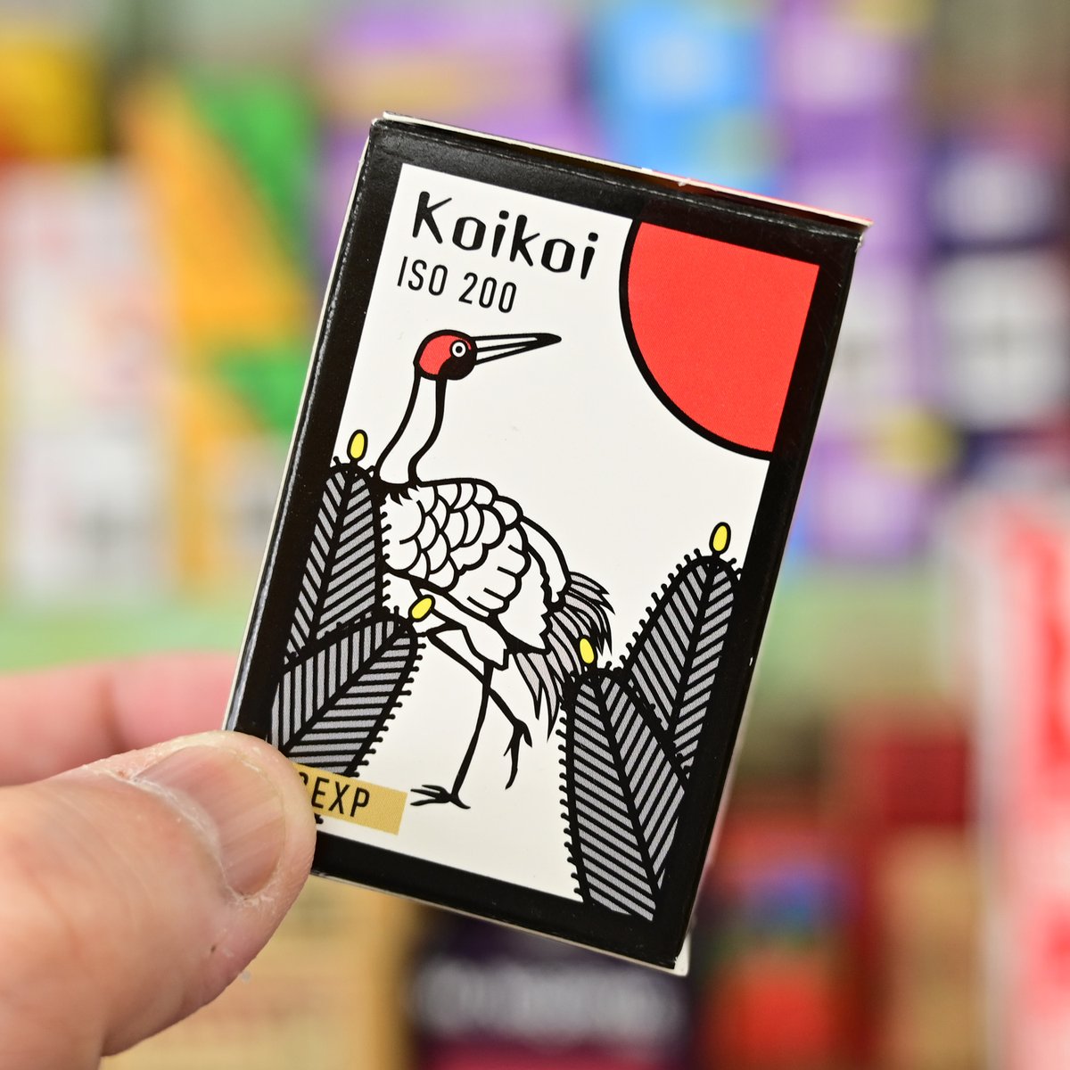 チャンプカメラ tweet media