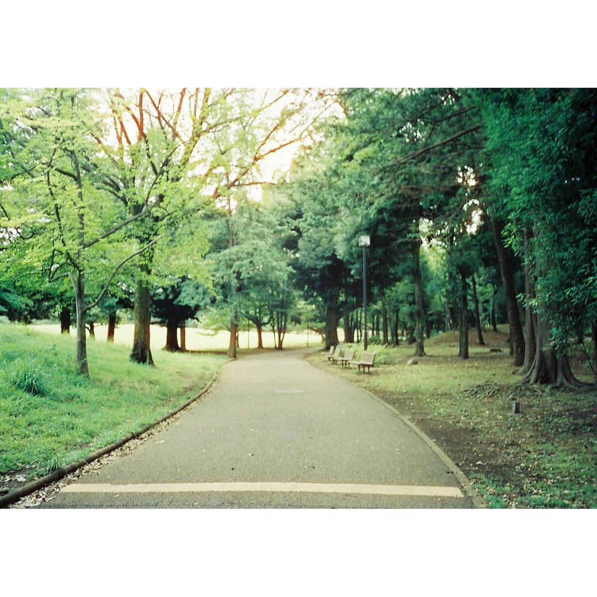 チャンプカメラ tweet media