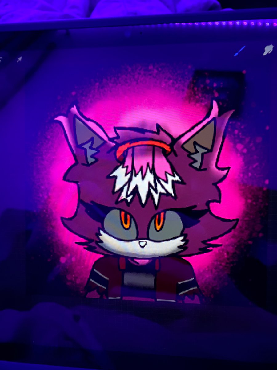 Kirb the Cat tweet media