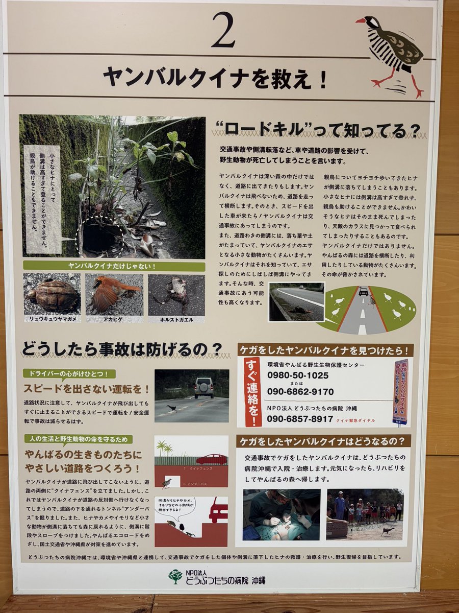 こめつぶ tweet media