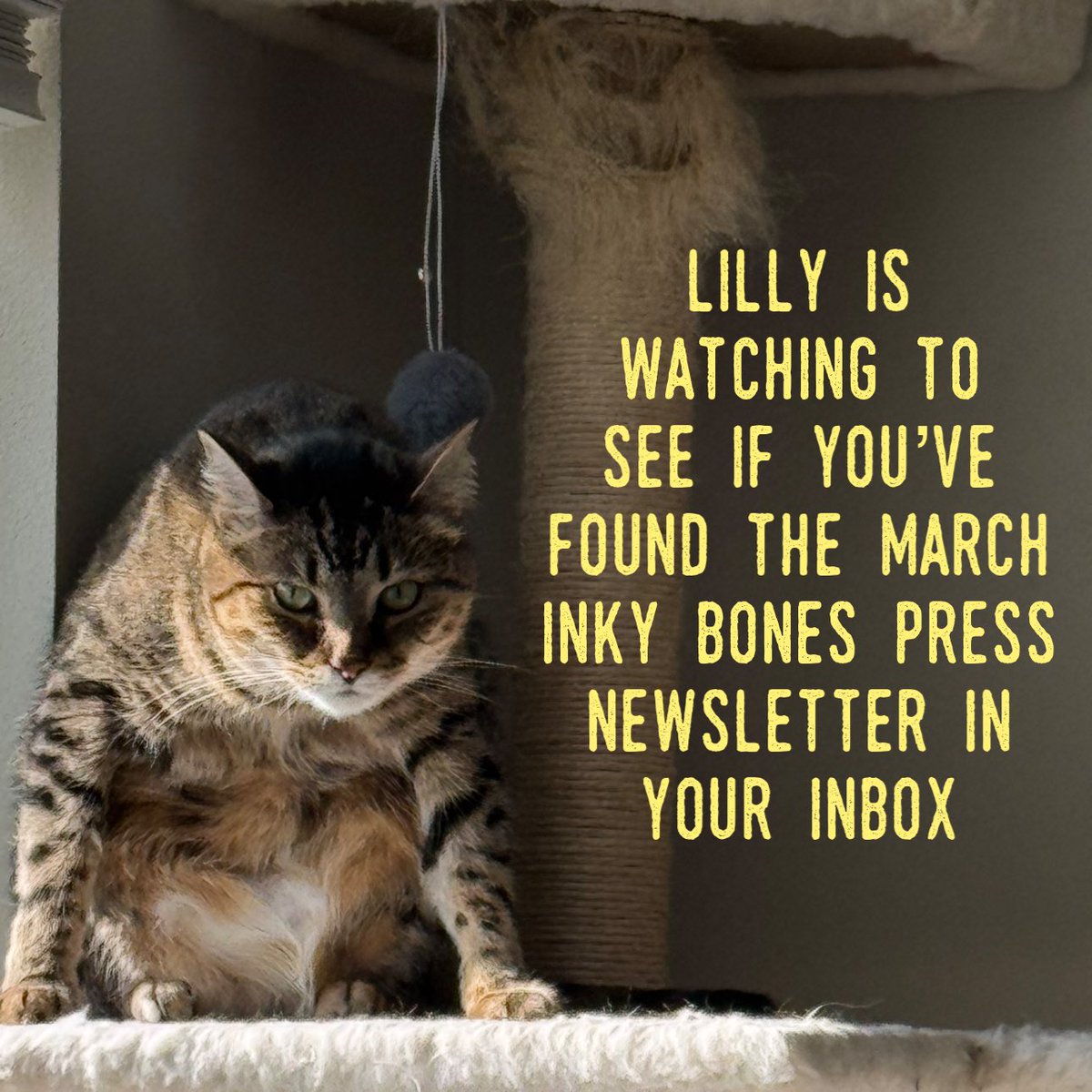 Robin Knabel - Inky Bones Press tweet media