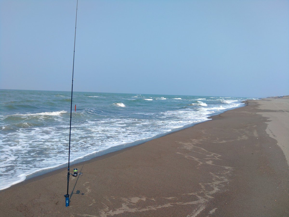 アングラーオジサン tweet media