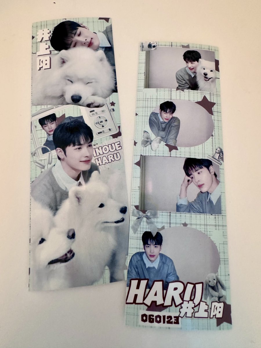 そるん🐻❄️💫NEX2Y tweet media