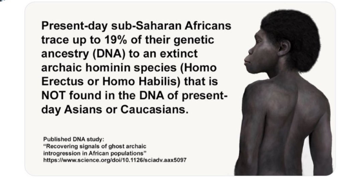 TheAmazingJust1 tweet media