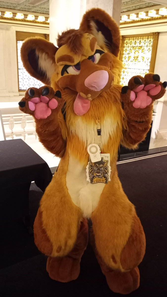 🐉ChaseDerg tweet media