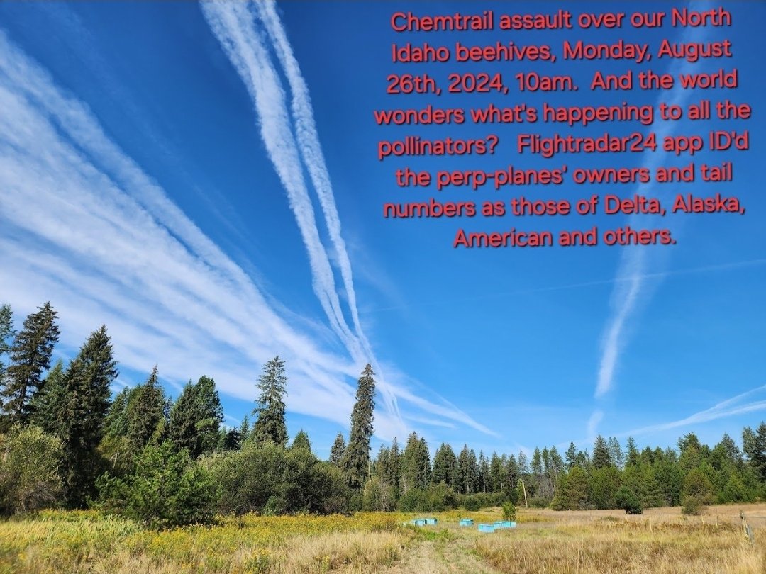 Gram 💗🙏✝️🌺🐬🌻🤙 tweet media