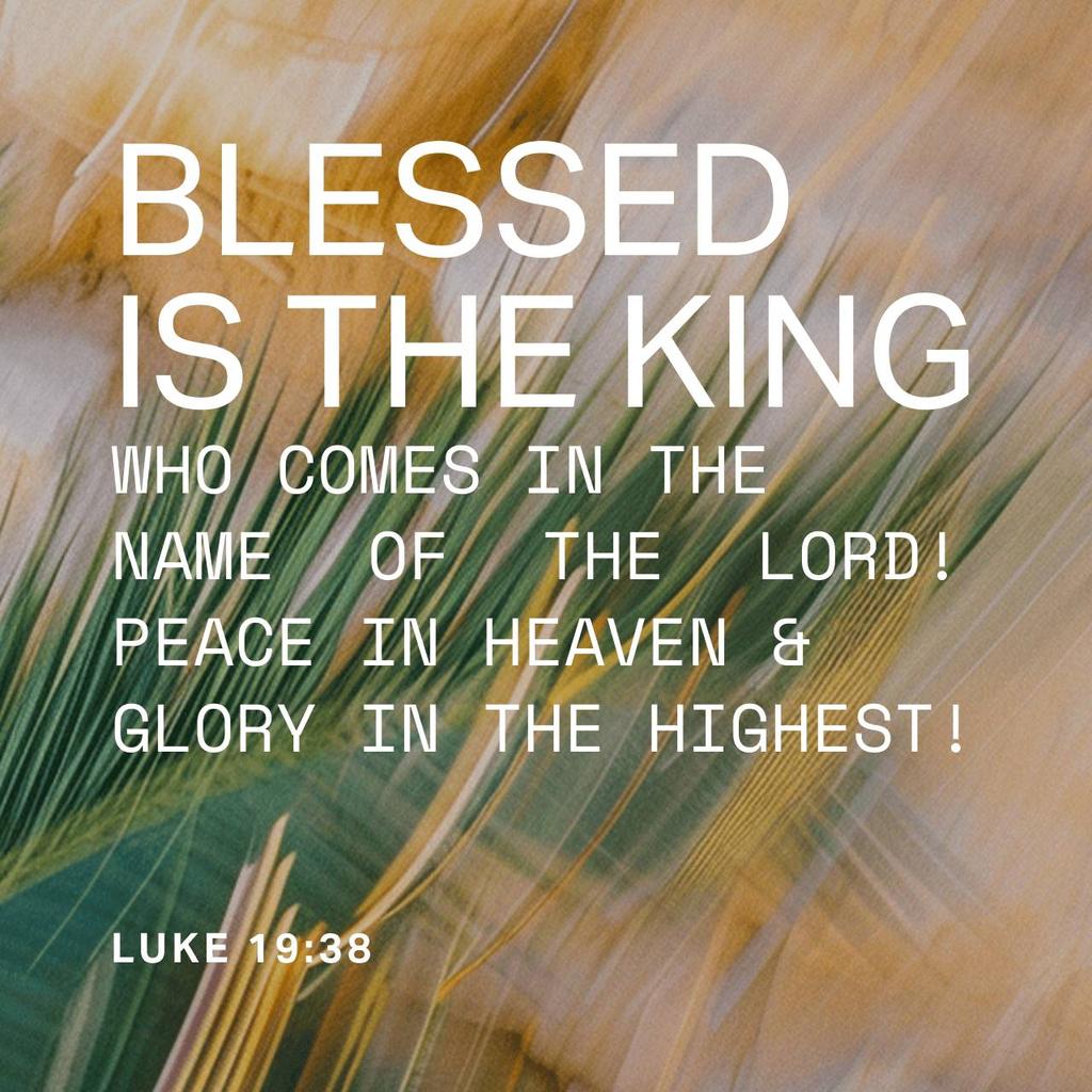 Blessy Binu tweet media