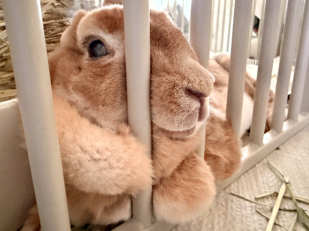 なんだか幸せそうなのでいいか