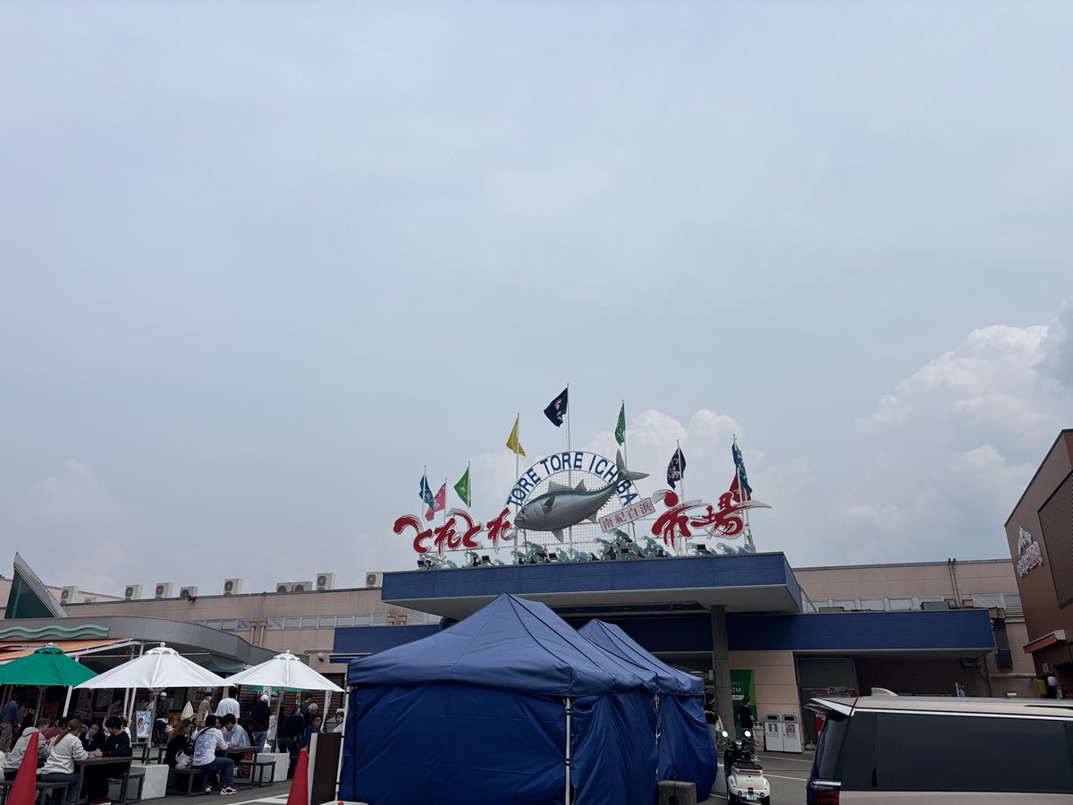 やきめし@ういく tweet media