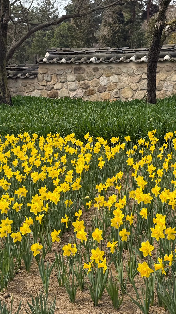 ํK๐ค4๏ธโฃ์๐์ผ๐๐ปํ๋ tweet media