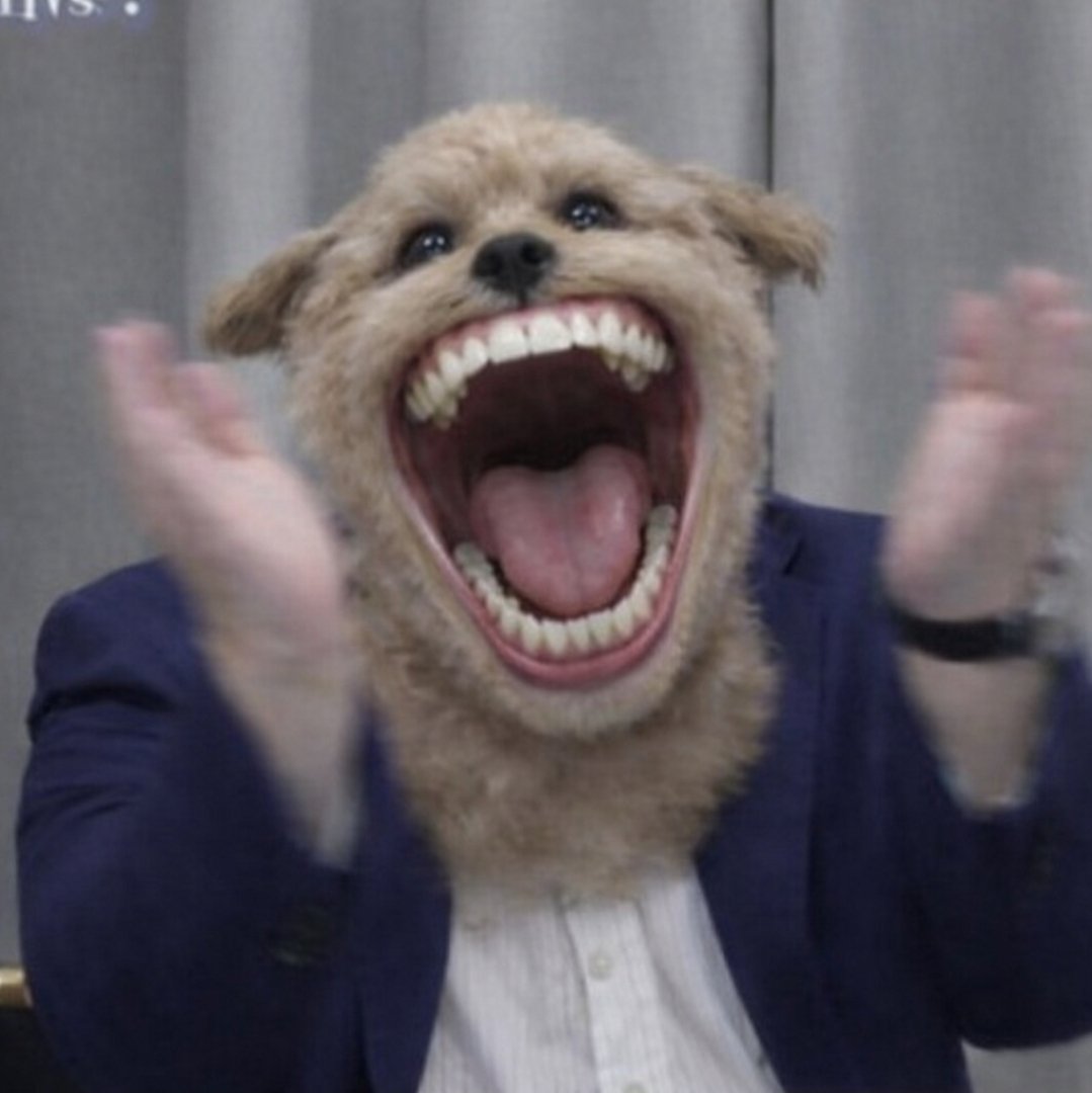 こ浪すぞ@新浪大好き♥️ tweet media