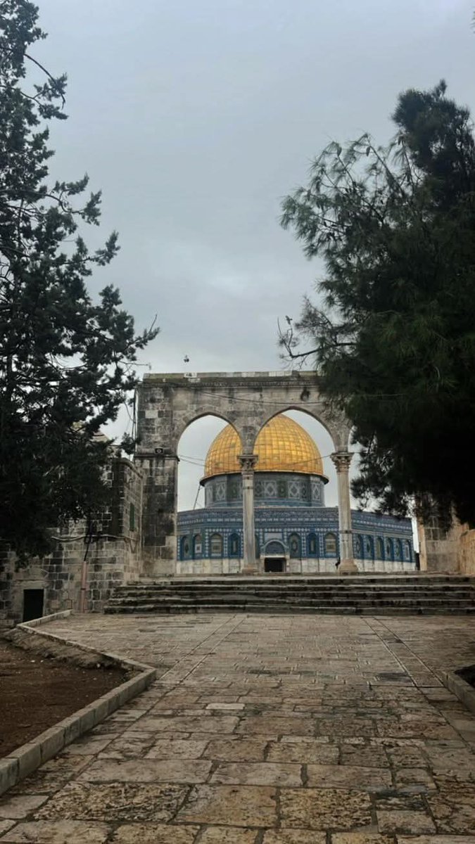 يُوكا tweet media