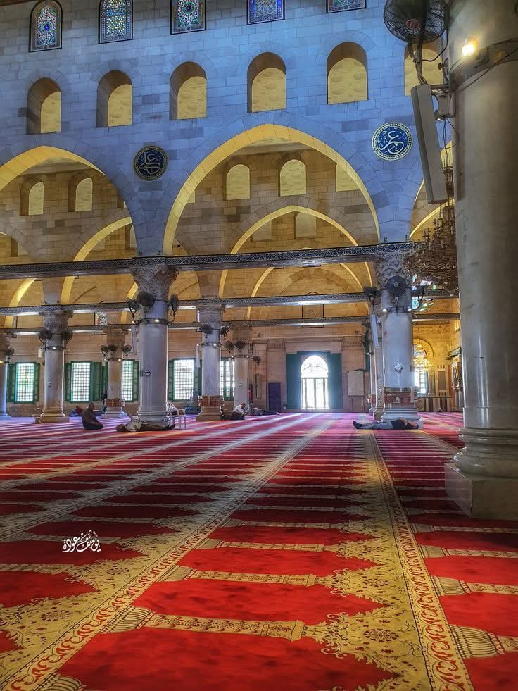 يُوكا tweet media