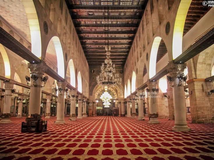 يُوكا tweet media