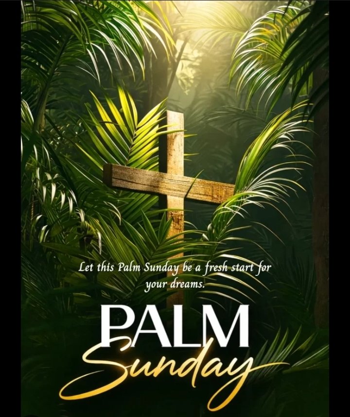 Ms.Olive🌸🇺🇬. tweet media