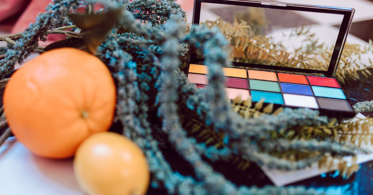 Lorand Fabian tweet media