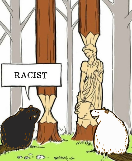 The Reply Goy tweet media