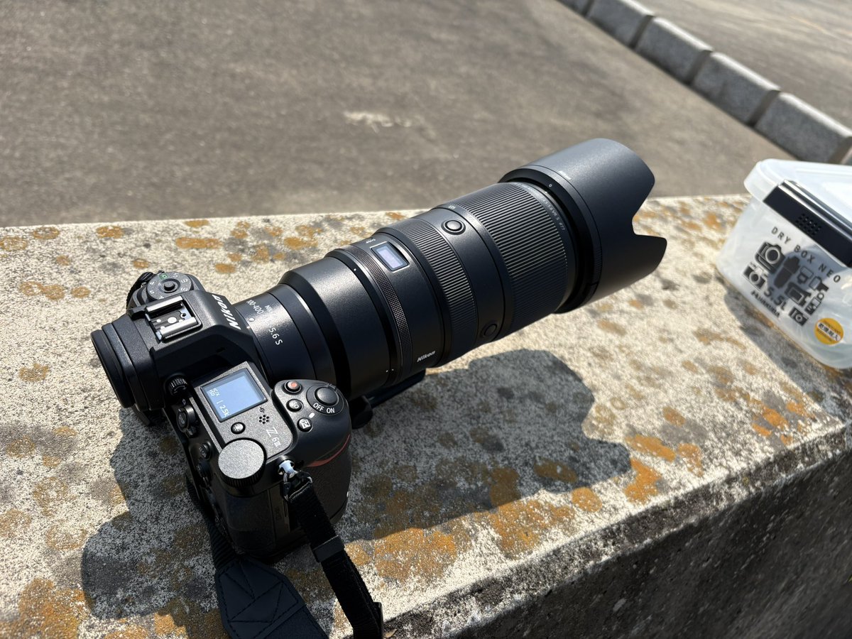 ひなたりゃ tweet media