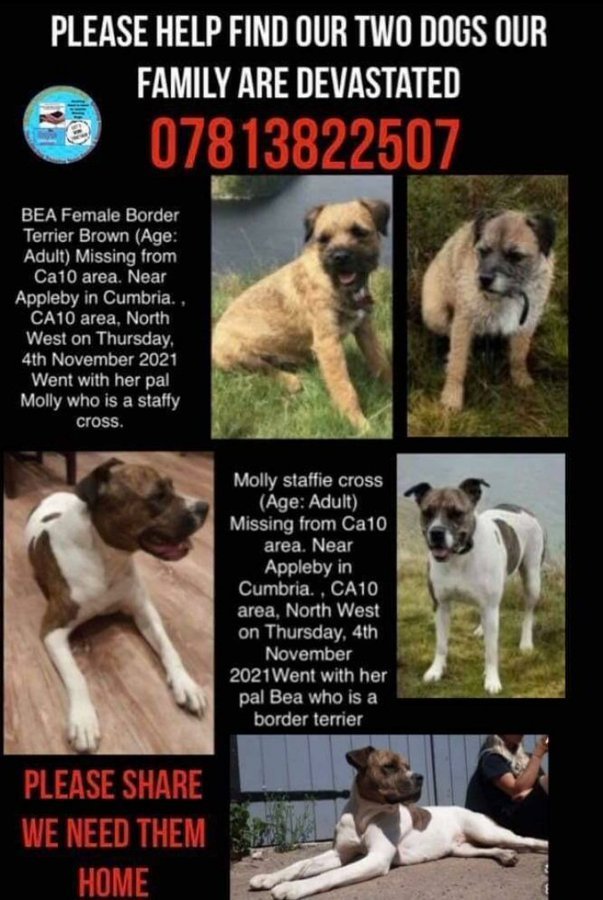 Maria #BringScruffyHome🇺🇦🇮🇱 tweet media