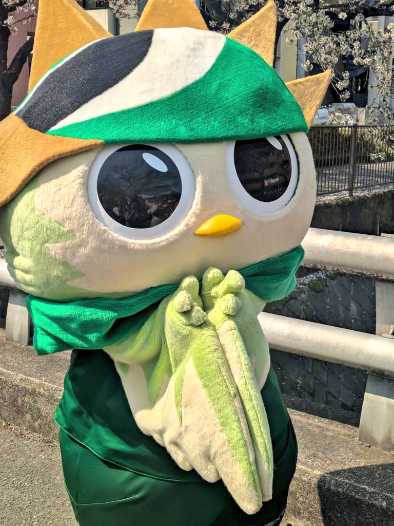 とーる@ヴェルディ tweet media