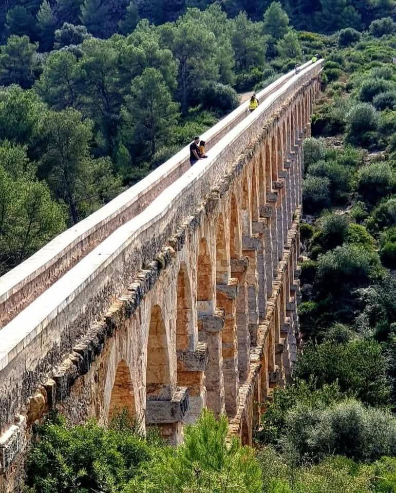 Unearthed 🏺 tweet media