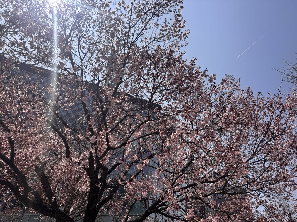 ジョンみかみ tweet media