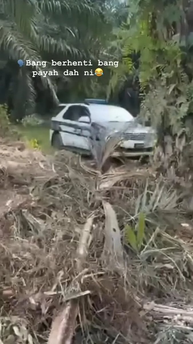 MYNEWSHUB tweet media