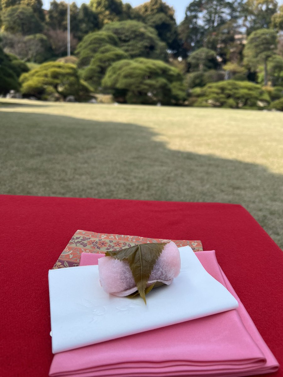 akeming🌸🍃彡🌊☀️🇺🇸아케미 tweet media