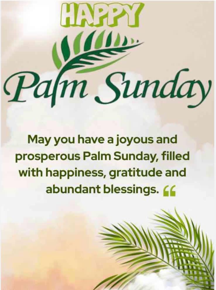 Alvin hartojo tweet media