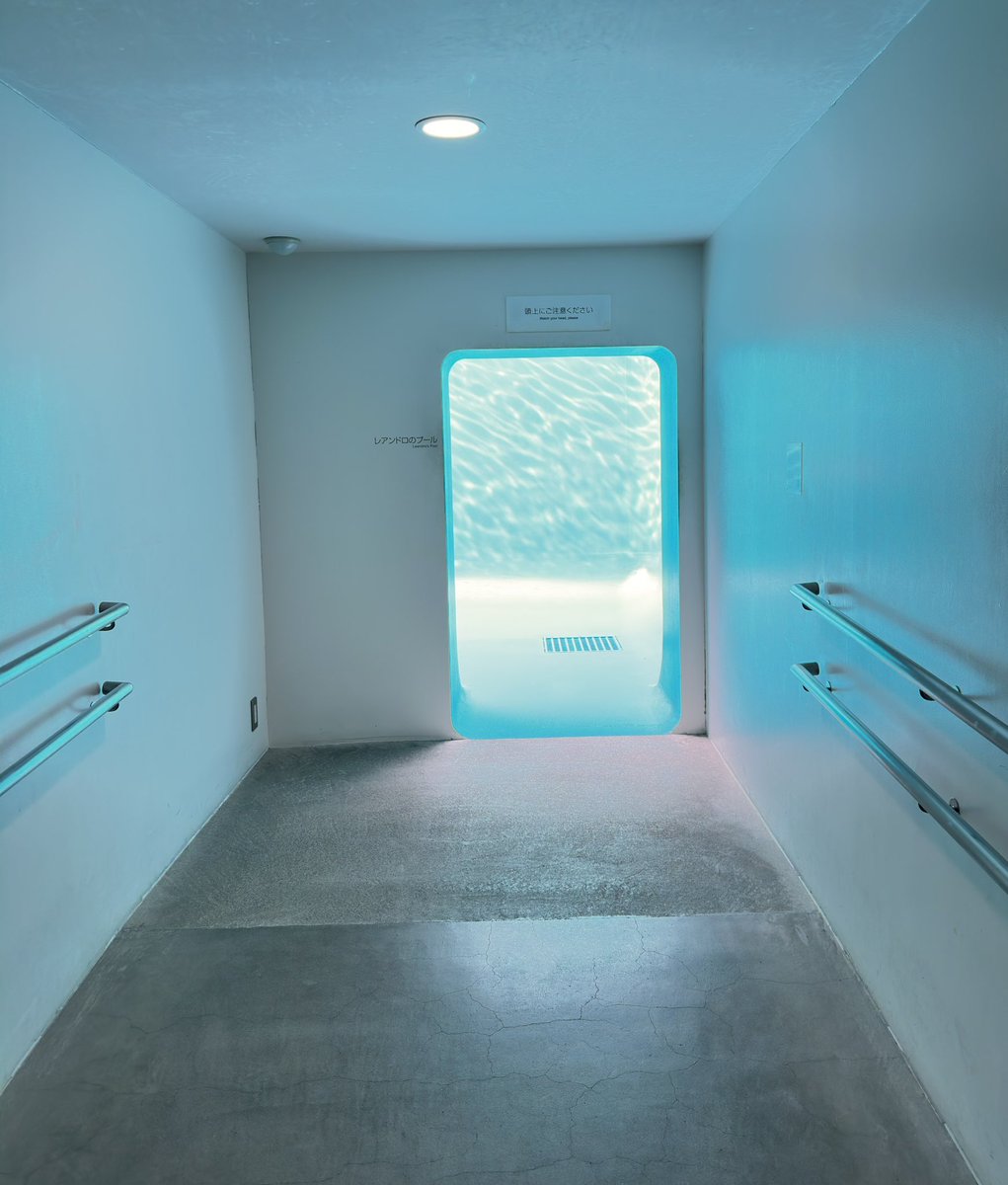 k64005546's tweet image. 前回は見れなかったから
今回が初めまして
#pool #21美