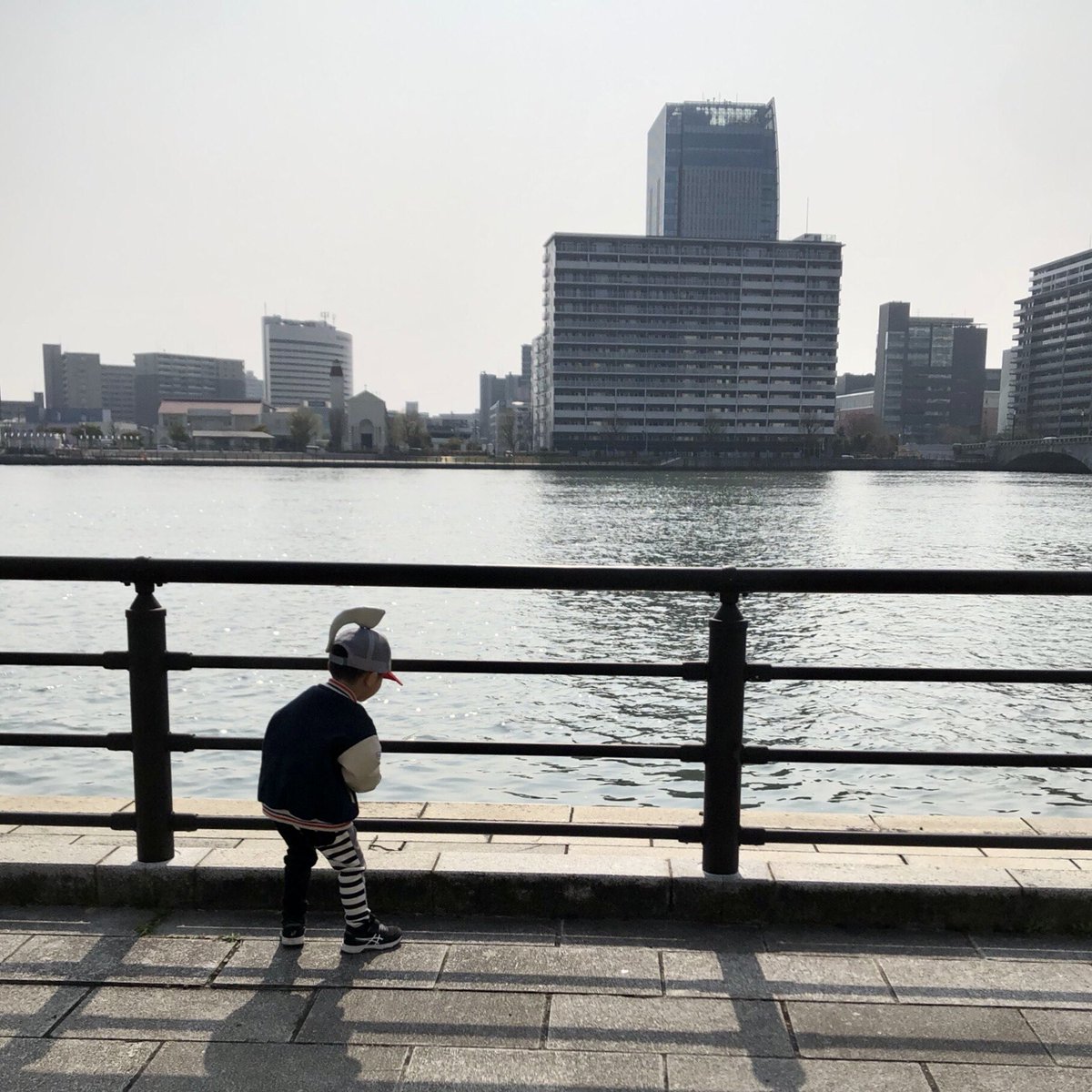 いーたん-「帽子屋 matto mento」中の人🎩✨ tweet media