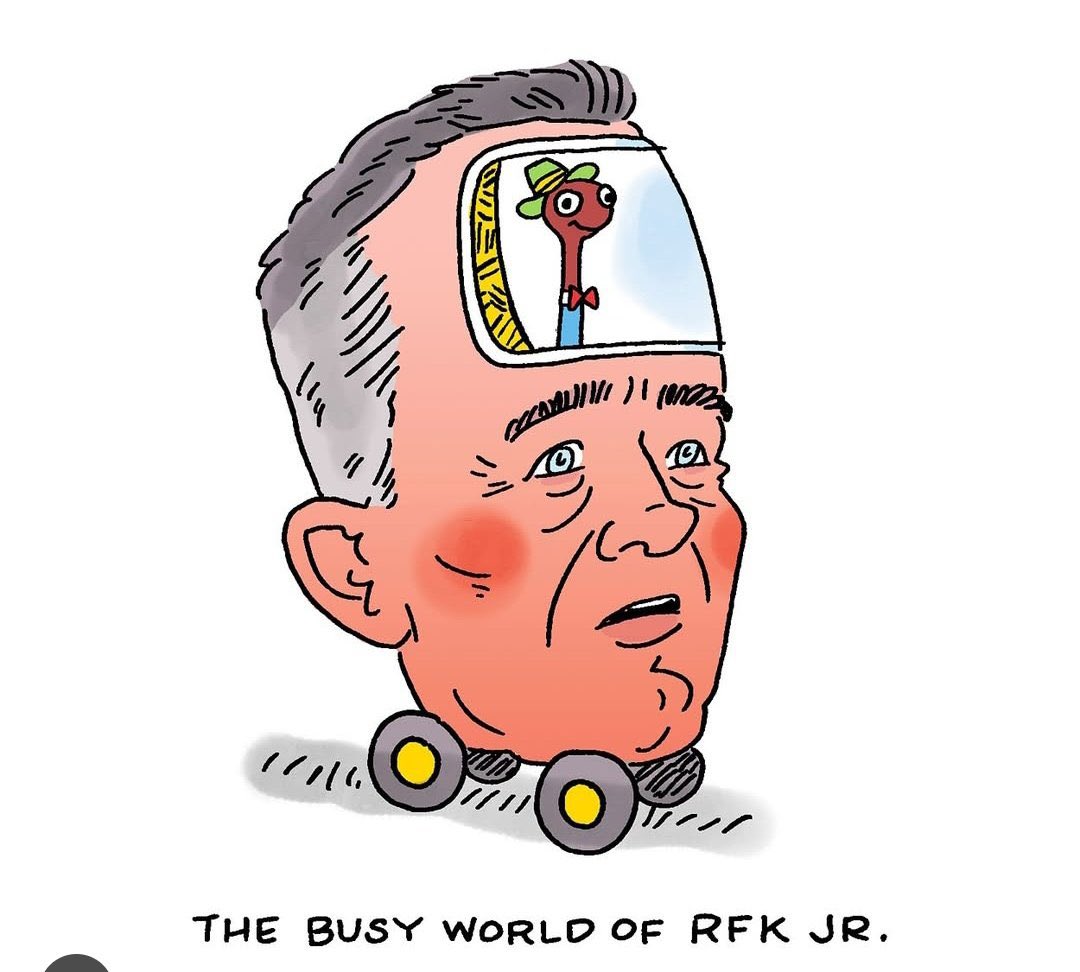 💔🐱💔🐾💔 tweet media