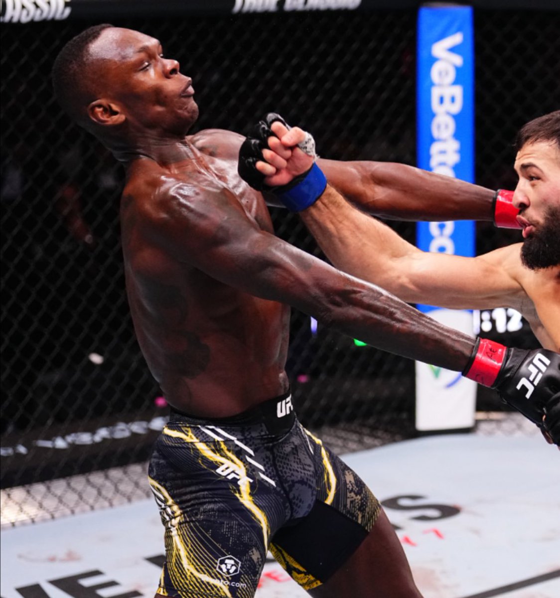 Tallison Teixeira 🇧🇷 tweet media