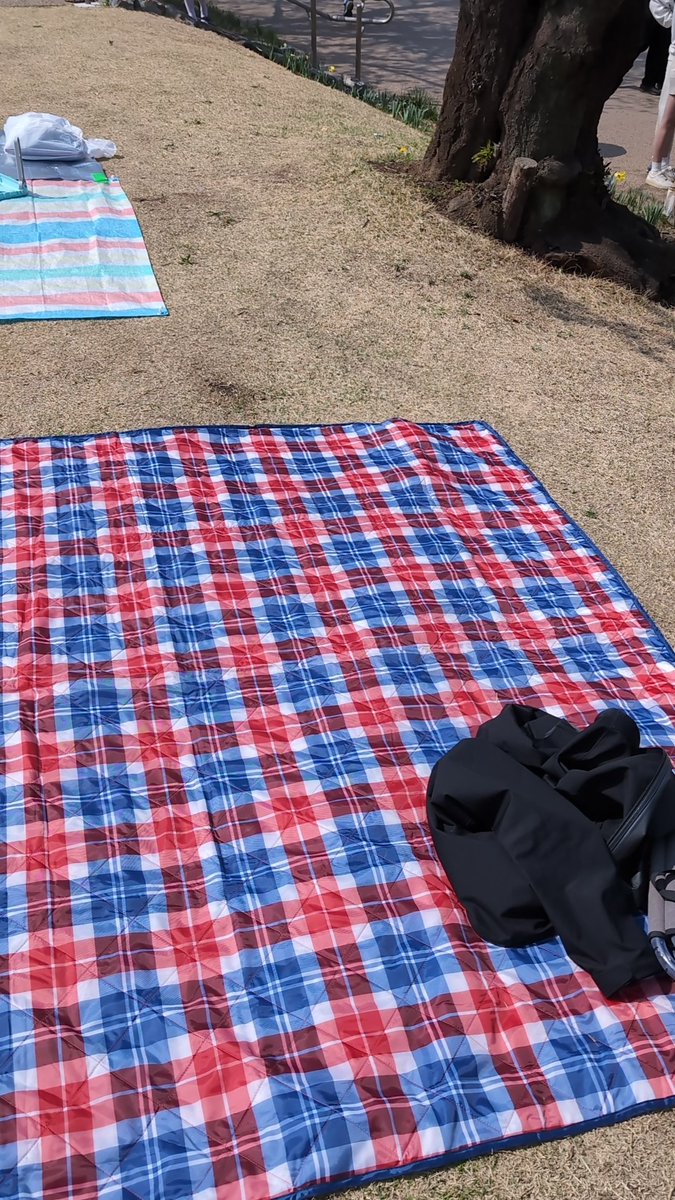 スイカ tweet media