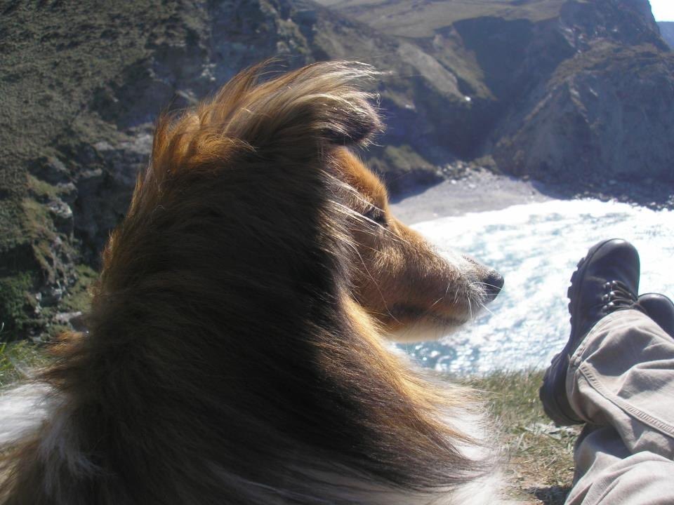 아련보스 tweet media