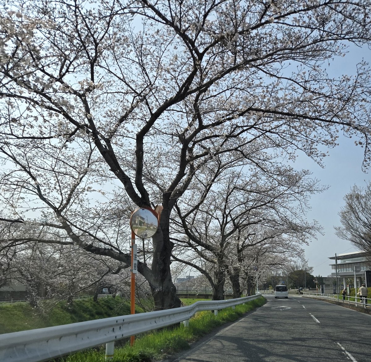 U#@初志貫徹、自己犠牲 tweet media