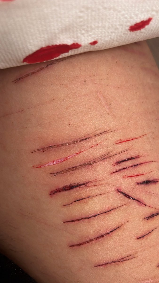 spencer smith of shtwt tweet media