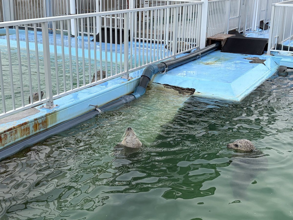 書き暮らしのテフレッティ tweet media