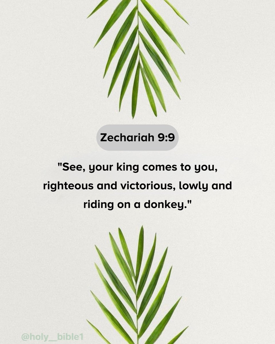 Holy__Bible1's tweet photo. Zechariah 9:9
#palmsunday https://t.co/nobpuwRrt1