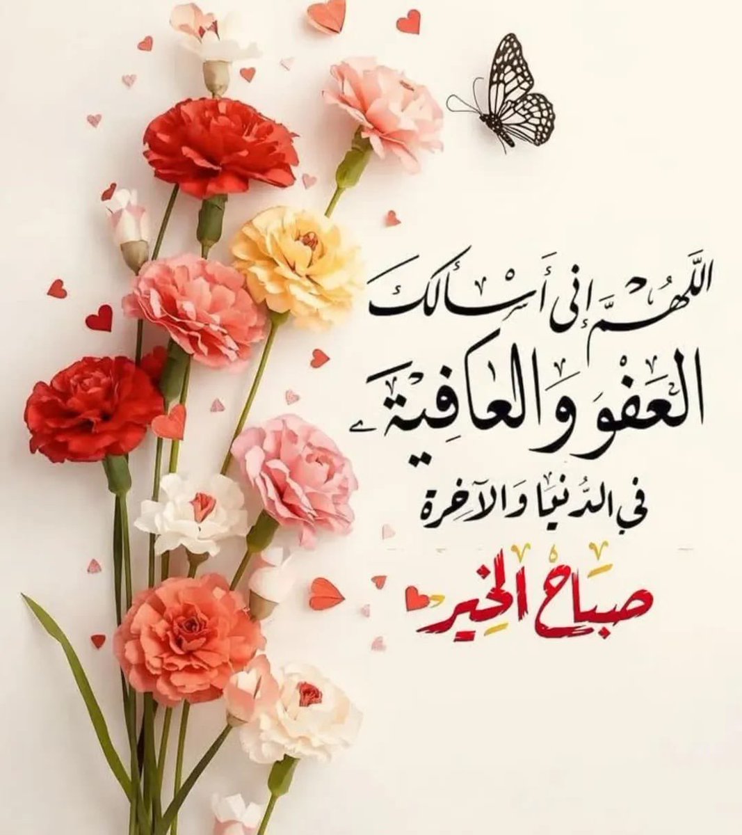 مبارك محمد المياح tweet media