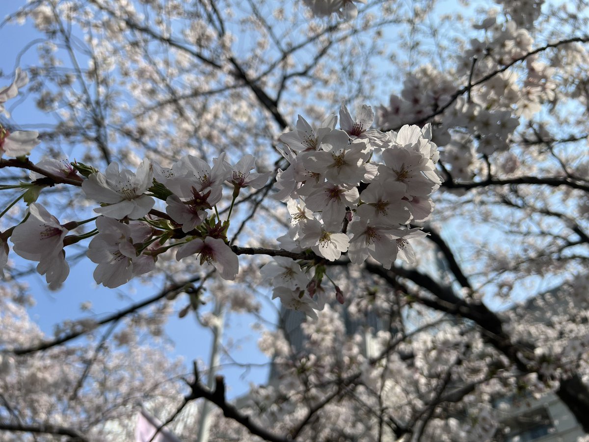 くるっぴー tweet media