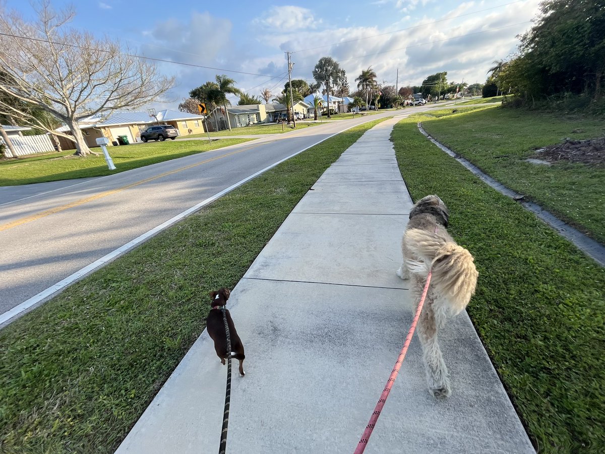 Chris Kokell tweet media