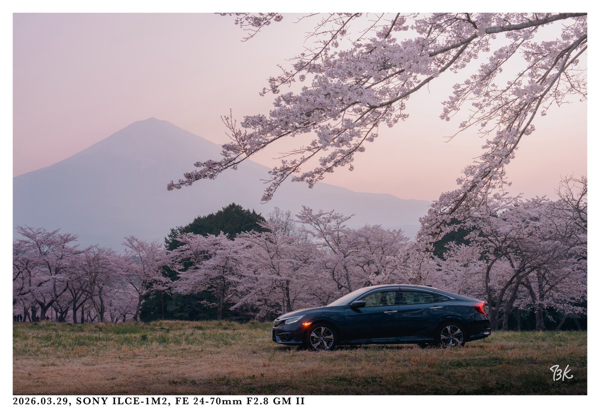 なにょん tweet media