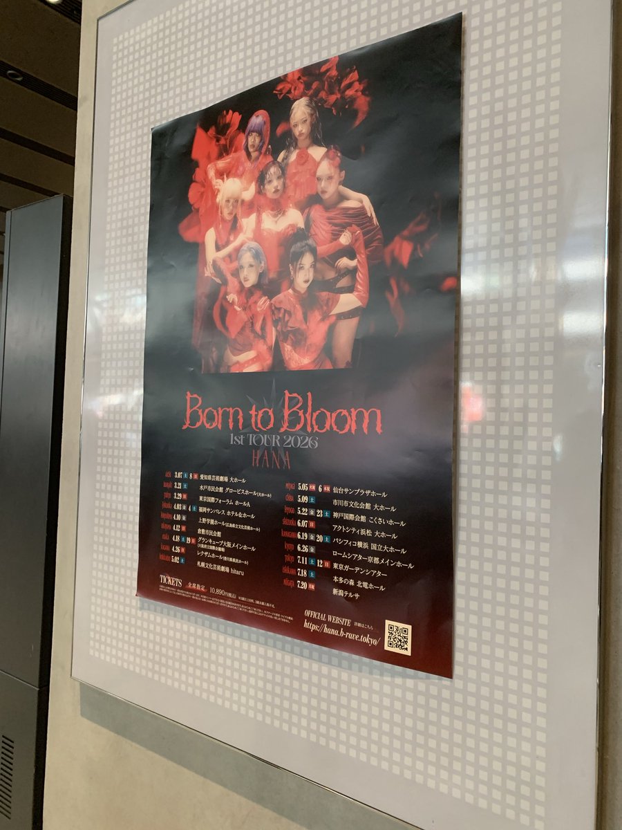 うドンナ@エルフガチ勢🦚 tweet media