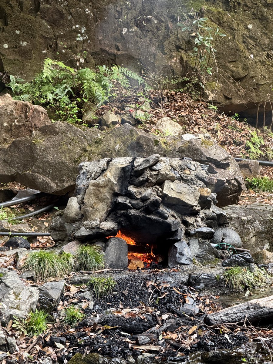 高速推進🐡 tweet media