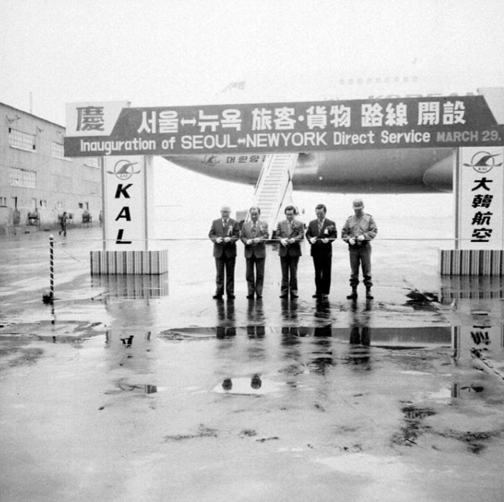 늘푸른소나무 tweet media